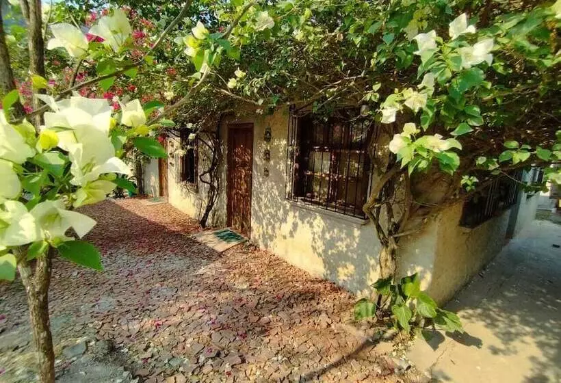 مسافرخانه Yaxlik River Lodge