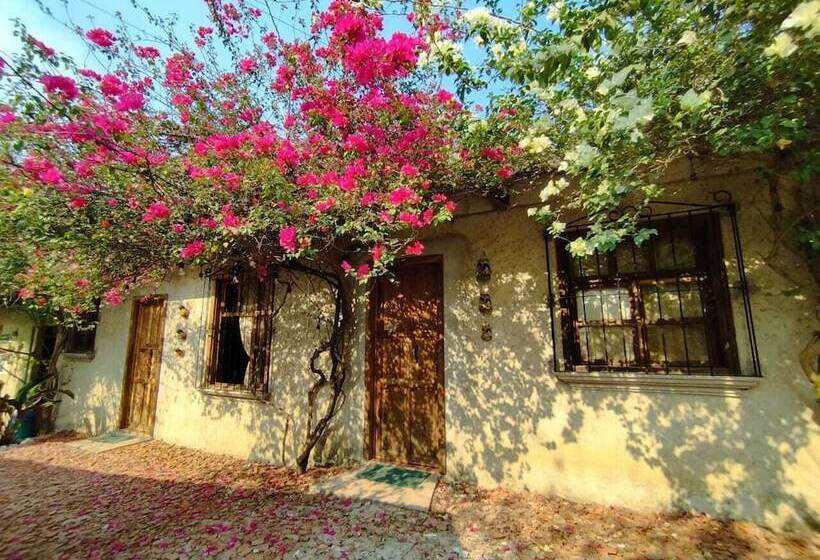 مسافرخانه Yaxlik River Lodge