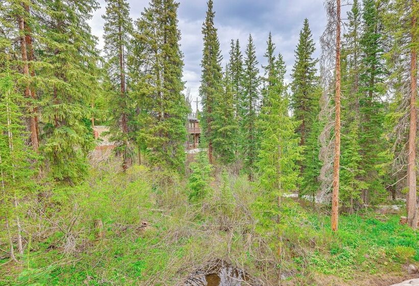 Breckenridge Home W/ Views ~ 8 Mi To Ski Resort