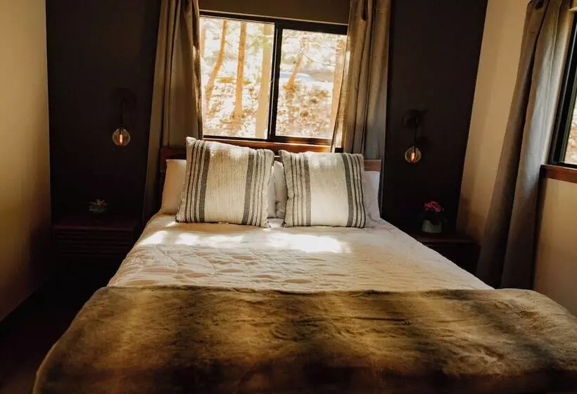 Newly Remodeled Luxury Cabin