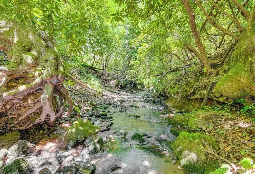 The Round House    Treetop North Carolina Cabin!