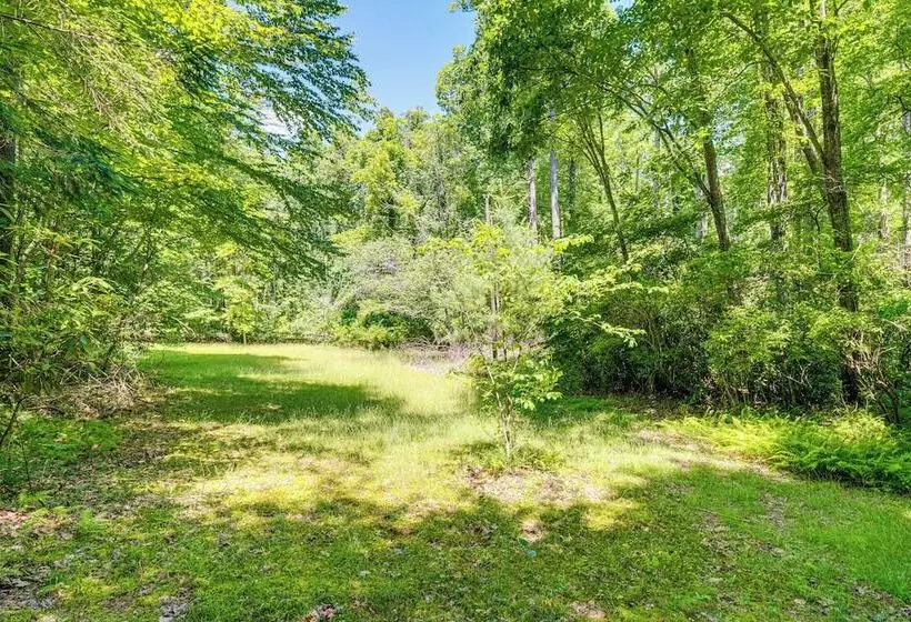 The Round House    Treetop North Carolina Cabin!