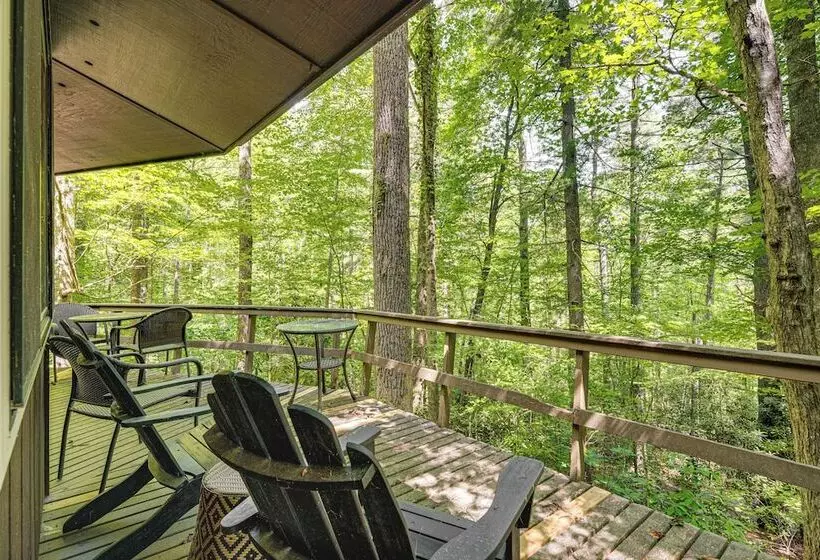 The Round House    Treetop North Carolina Cabin!