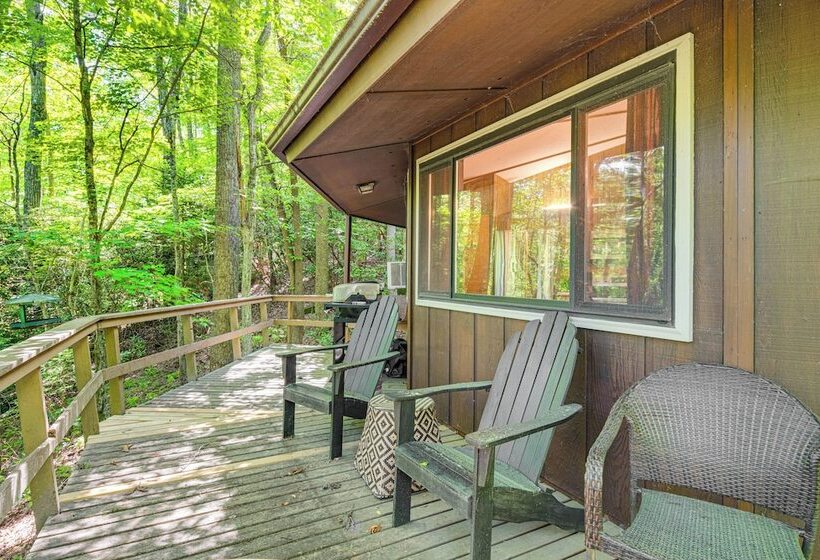 The Round House    Treetop North Carolina Cabin!
