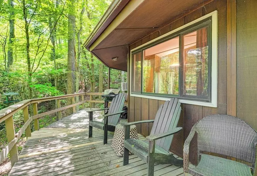 The Round House    Treetop North Carolina Cabin!
