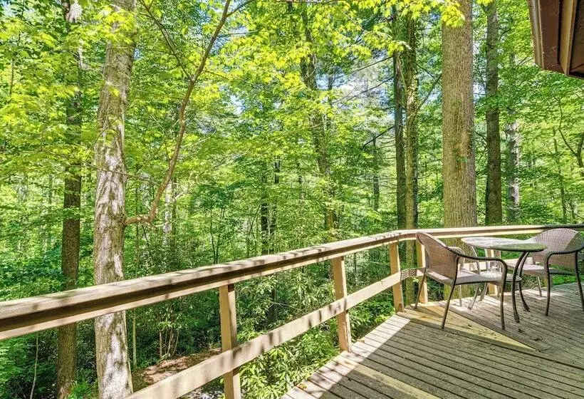The Round House    Treetop North Carolina Cabin!