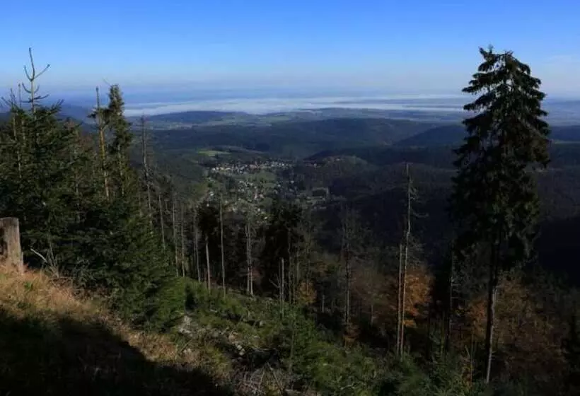 Gite Hansel, Set In Greenery Beside A Stream