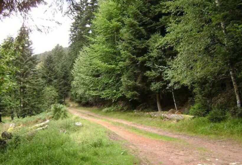 Gite Hansel, Set In Greenery Beside A Stream