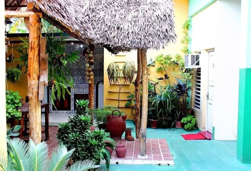 Hostal Paradisus