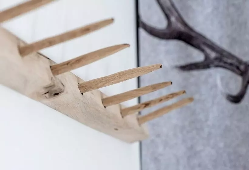 ホテル Fokus N Cyan