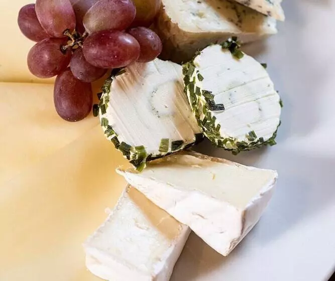 ホテル Fokus N Cyan