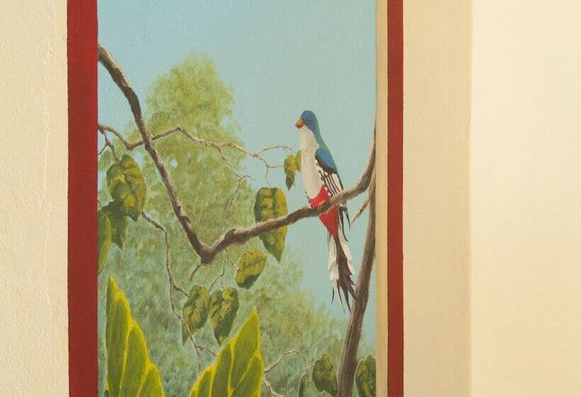 پانسیون Apart Hotel Amigos De Cubanito