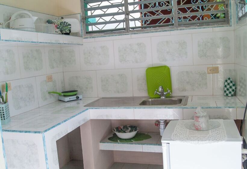 پانسیون Apart Hotel Amigos De Cubanito