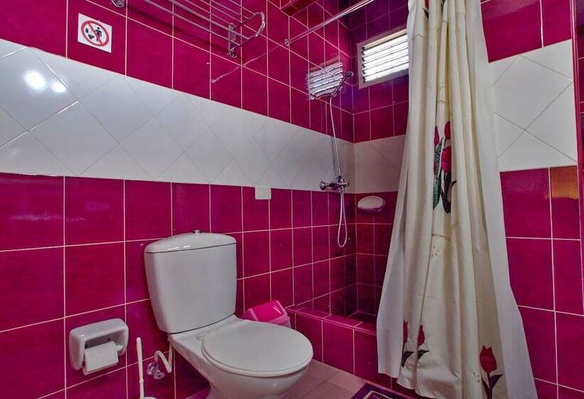 پانسیون Iriss House