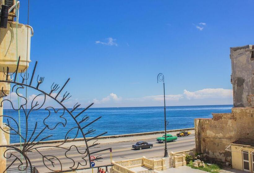 مسافرخانه Don Malecon