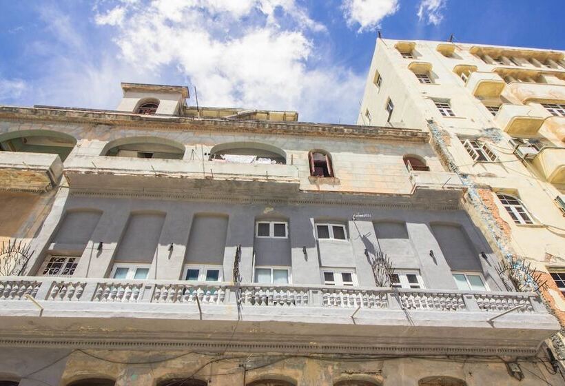 مسافرخانه Don Malecon