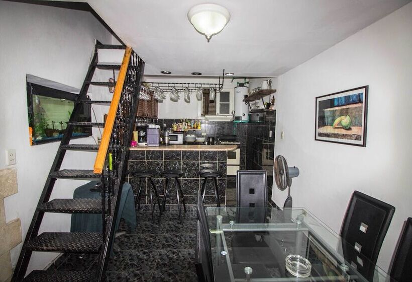 مسافرخانه Don Malecon