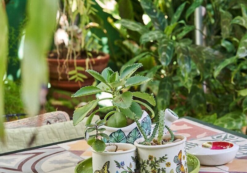 Hostal Marques De Liz