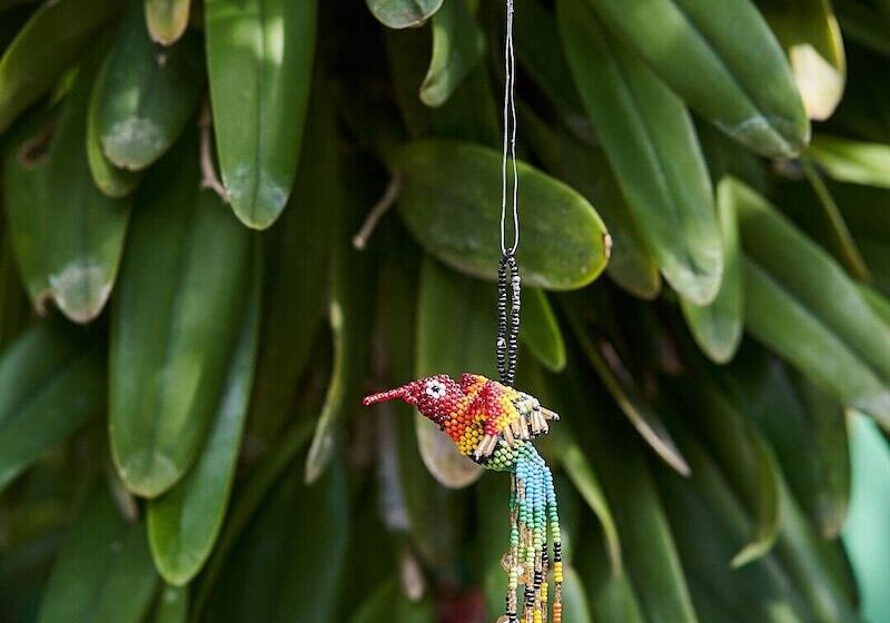 Hostal Marques De Liz