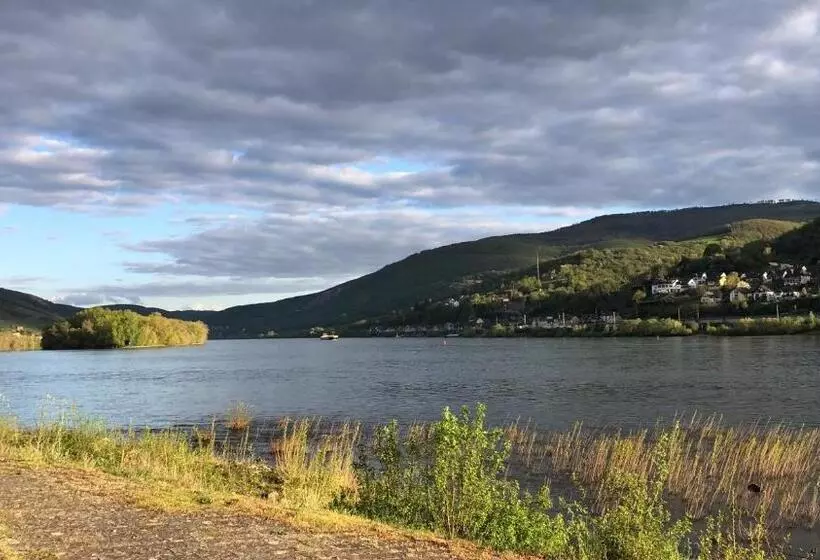 Rheinliebe Bistro Und Pension