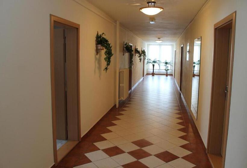 Schronisko šd Jedlíkova 5