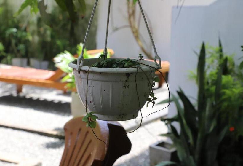 Bed & Breakfast Cocoplant Surf Inn