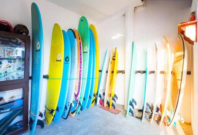 ベッドアンドブレックファースト Cocoplant Surf Inn