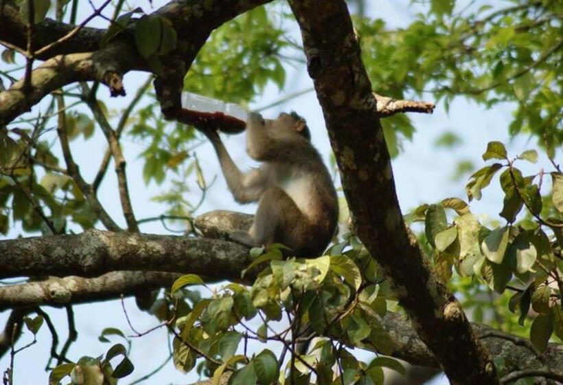 ベッドアンドブレックファースト Green Leaf Home Stay