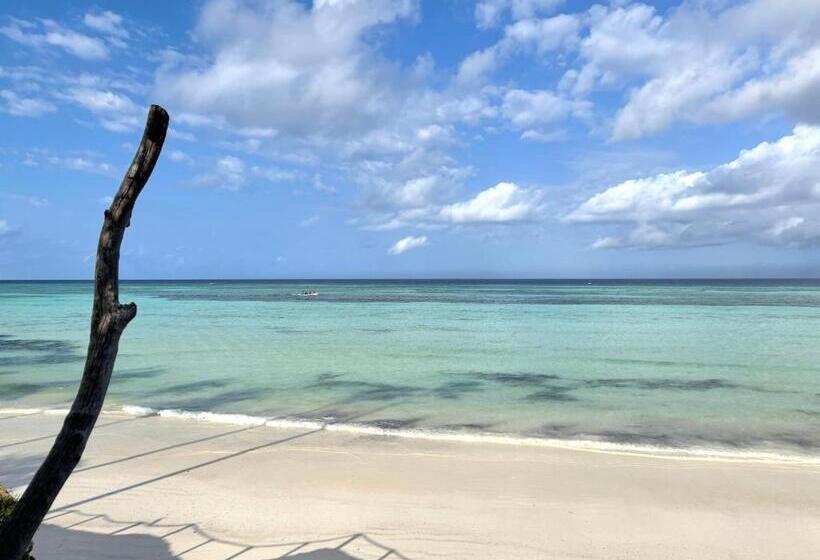 فندق Aya Beach Resort