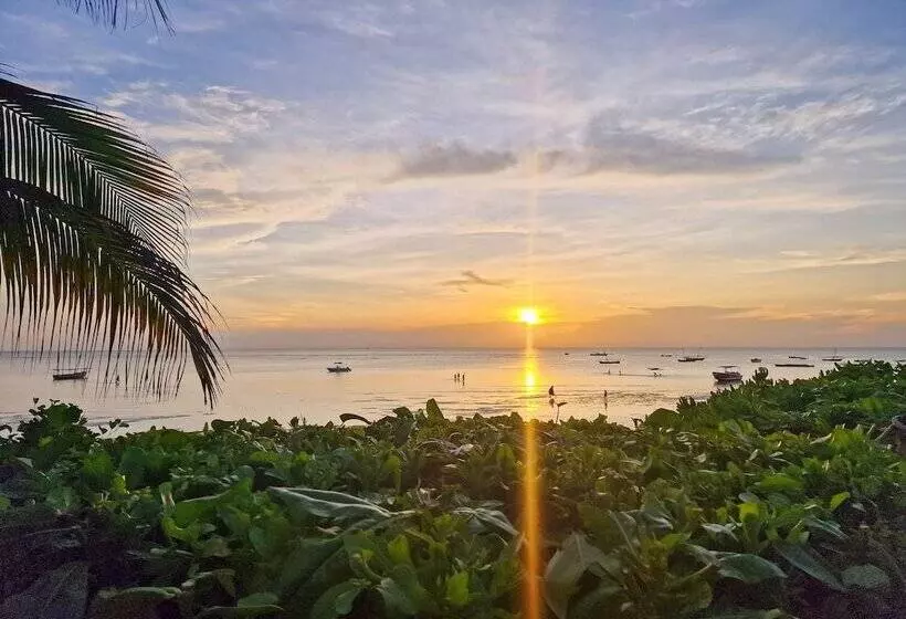 هتل Aya Beach Resort