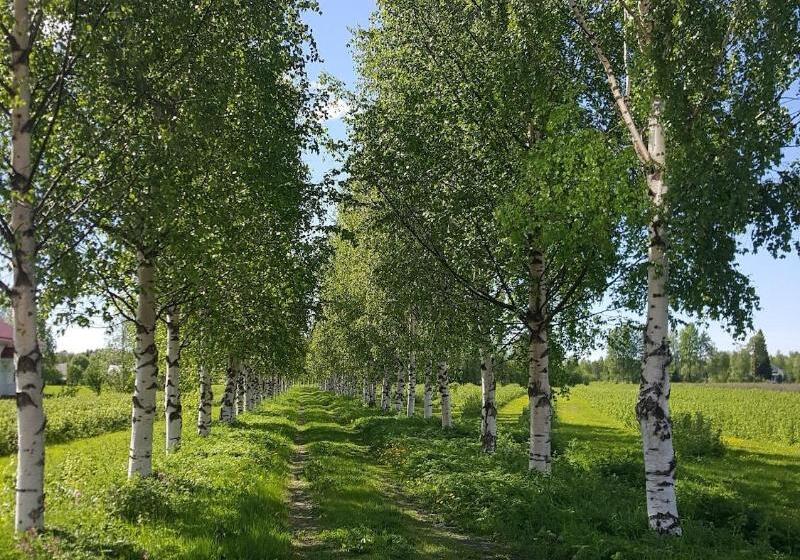 Kylpylähotelli Pohjanranta