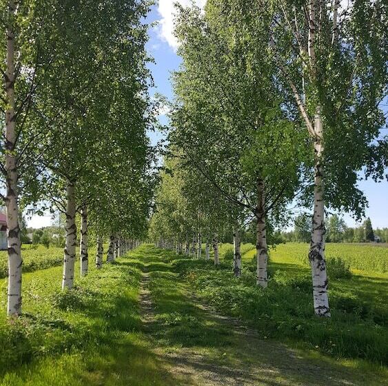 Kylpylähotelli Pohjanranta