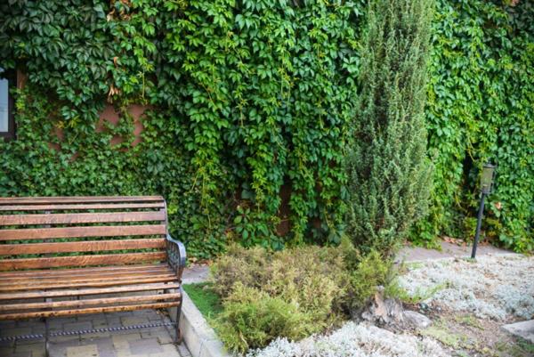 호텔 Restaurant Lyube Plus