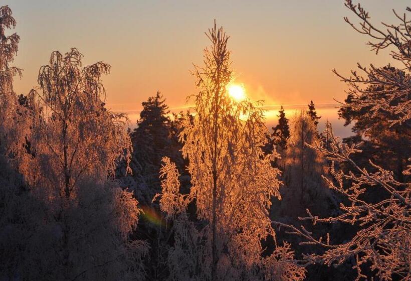 Отель Vaihmalan Hovi