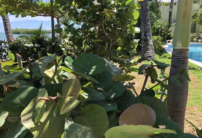 هتل Y Casino Guarocuya