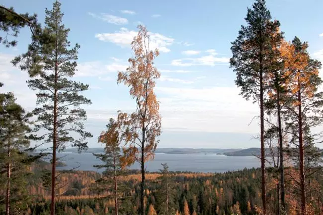 Riihivuori Cottages