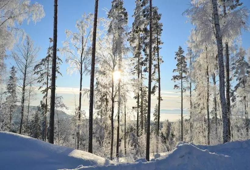 Riihivuori Cottages