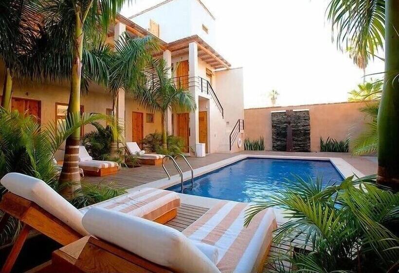 Suites Agave Centro Todos Santos