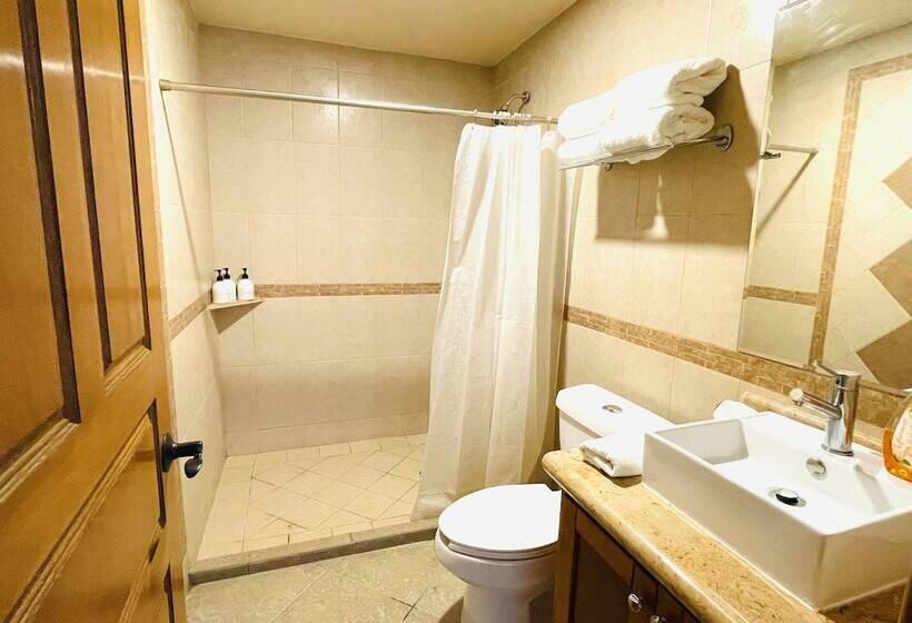 Suites Agave Centro Todos Santos