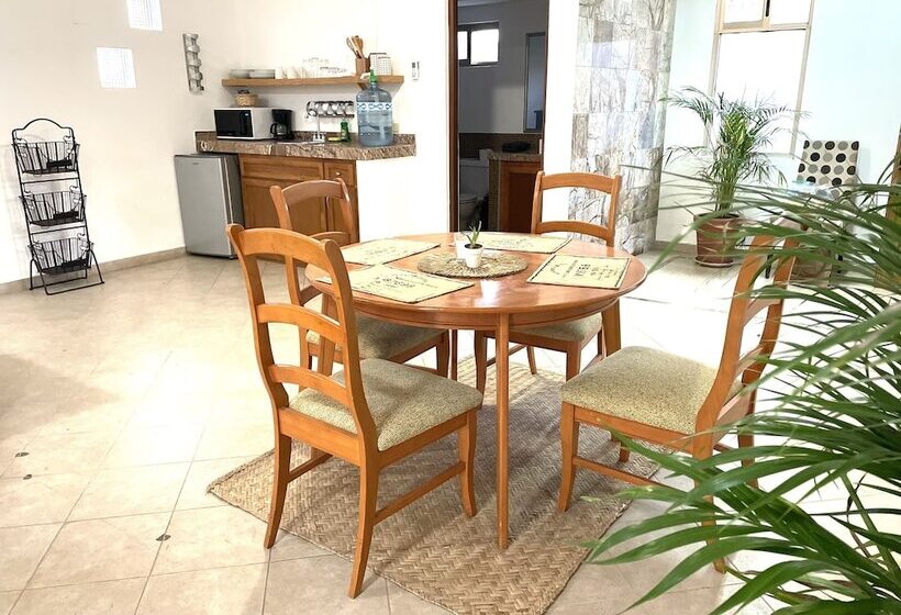 Suites Agave Centro Todos Santos