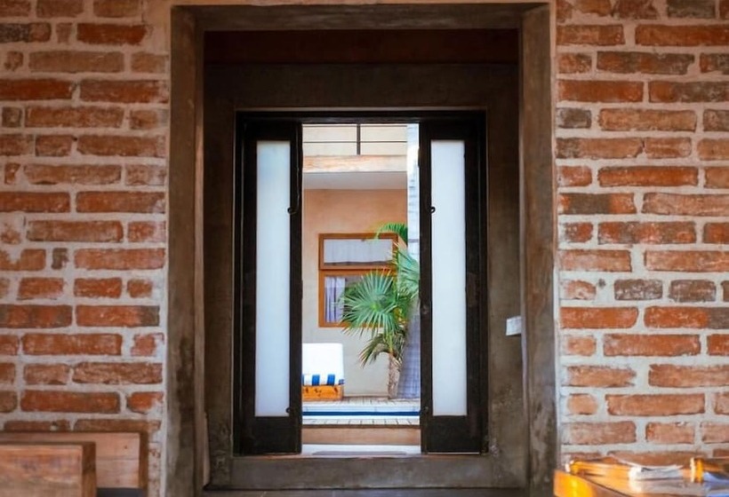 Suites Agave Centro Todos Santos