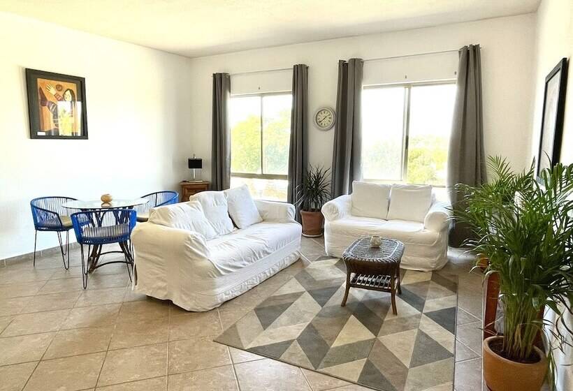 Suites Agave Centro Todos Santos