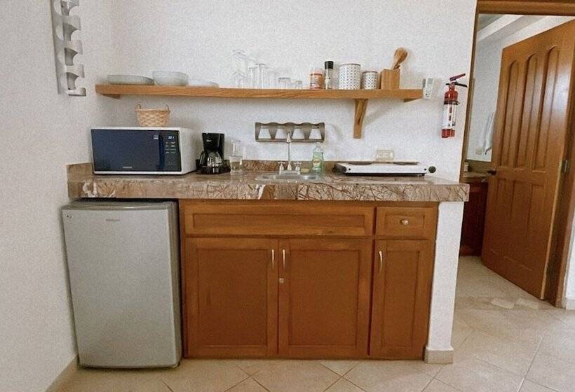 Suites Agave Centro Todos Santos