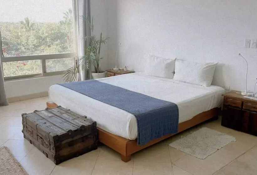 Suites Agave Centro Todos Santos