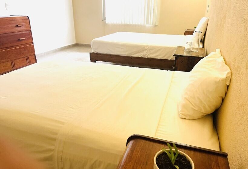 Suites Agave Centro Todos Santos