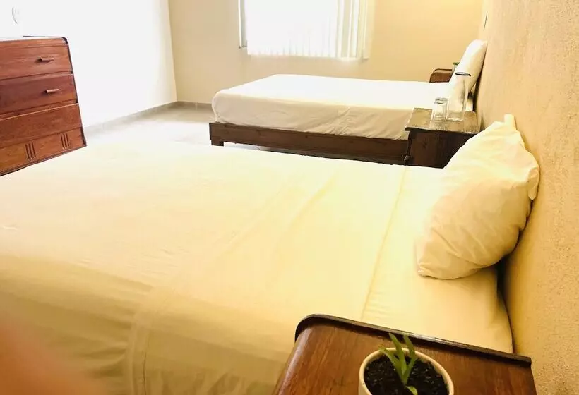 Suites Agave Centro Todos Santos
