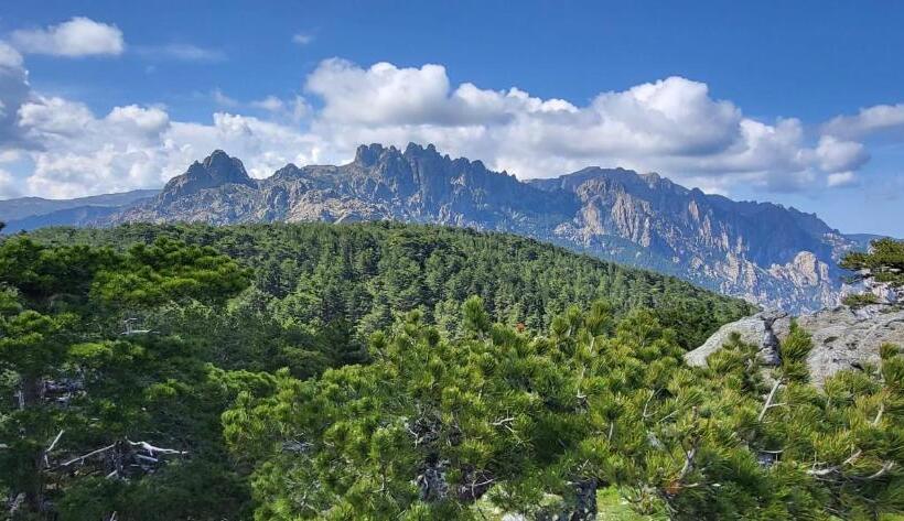 ベッドアンドブレックファースト Chambres D Hôtes Villa Les Rosiers   Garance