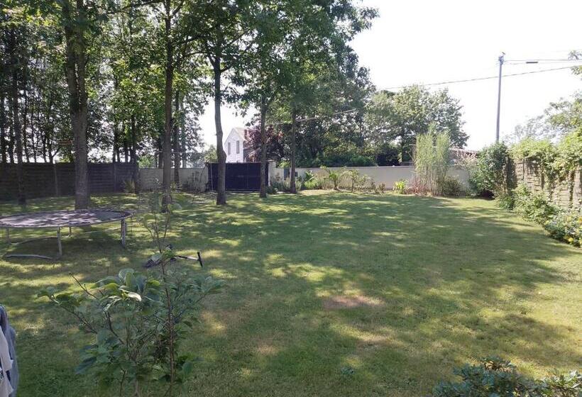 مبيت وإفطار Hellfest 25