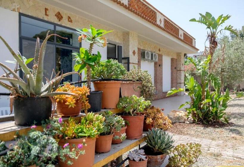 Il Vivaio Bed And Breakfast