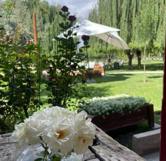 住宿加早餐 Lamadrid Guest House